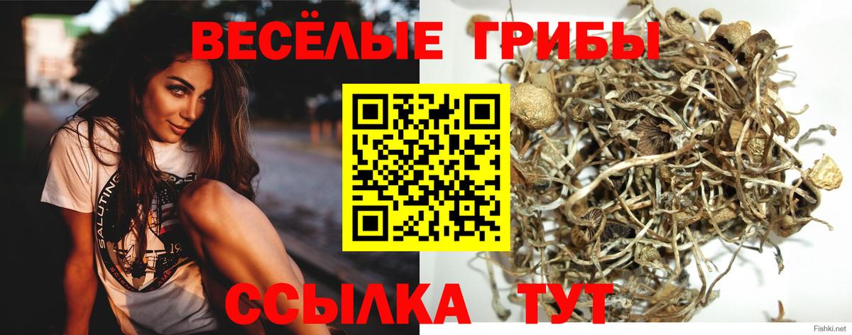 Псилоцибиновые грибы мухоморы Тимашёвск