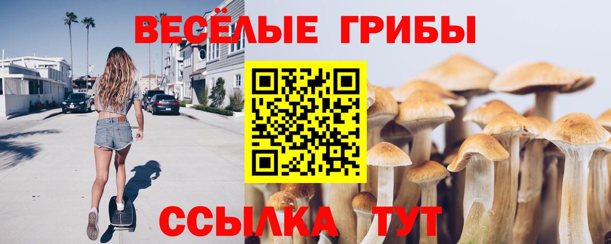 Тимашёвск  Псилоцибиновые грибы Psilocybine cubensis  Вход с VPN 